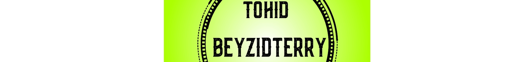  Tohid Beyzidterry