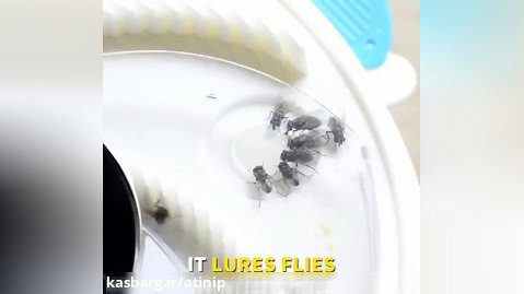 دستگاه خلاقانه که میتونه محل زندگی شما رو از شر مگس ها بدون کشتن اونها پاک کنه!