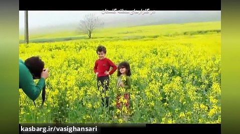 دشت های زیبای گل کلزا - استان گلستان