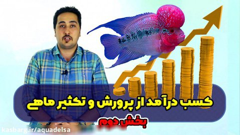 کسب درآمد از تکثیر و پروش ماهی - بخش دوم