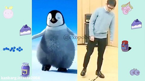 اکسو فان/ دی او یا پنگوئن؟