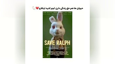 # خرگوش ها_ حق زندگی_ دارند