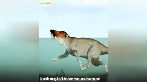 روند فرگشت نهنگ ها طی میلیون ها سال