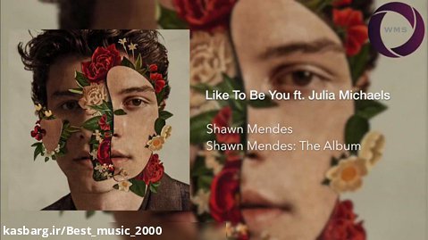 Shawn mendes _like to be You ft.julia michaels