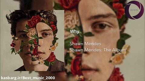 Shawn mendes _why