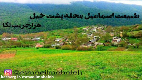 طبیعت روستای اسماعیل محله پشتخیل هزارجریب نکا
