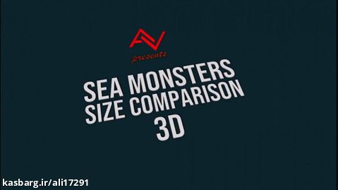مقایسه اندازه موجودات دریایی به صورت سه بعدی