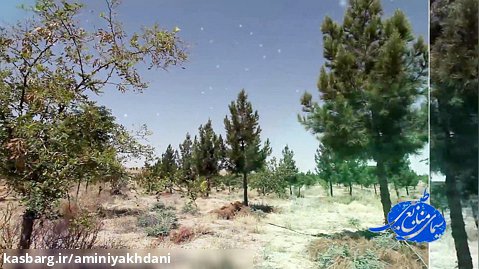 پارک جنگلی ثامن الائمه-اداره کل منابع طبیعی و آبخیزداری استان قم