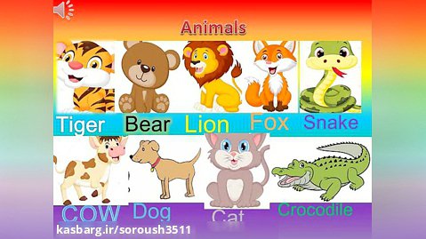 چند حیوان مختلف به انگلیسی