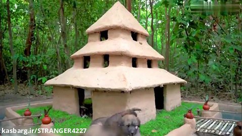 ساخت یک خانه زیبا برای چند تا توله سگ شیطون | (لانه های دست ساز>>>