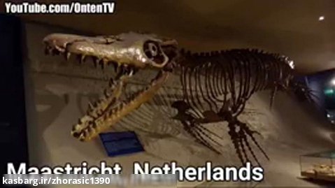 بزرگترین دایناسور در اقیانوس