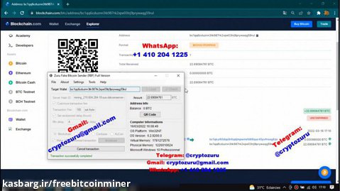 Fake Bitcoin Transaction Software (RBF) Demo Payment Proof