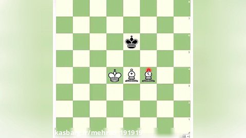 اموزش شطرنج {مات با دوفیل1}