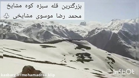 محمد رضا موسوی مشایخی معدنی87
