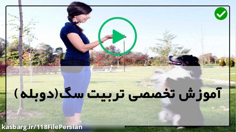 آموزش سگ خانگی-فیلم تربیت سگ-سگ تربیت شده-آموزش حمله کردن