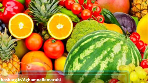 میوه ها به زبان عربی