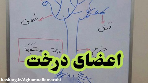 اجزاء درخت به عربی