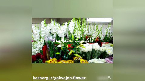 گلستان بزرگ گل واژه کرج درخدمت شهروندان عزیز.