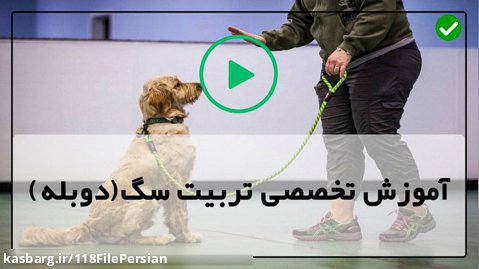 آموزش توله سگ-آموزش سگ-تربیت سگ-هفت نکته برای آموزش به سگ