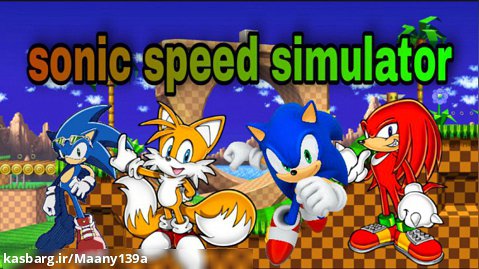 محل کارت Sonic_tails_ knuckles_ riders sonic در Sonic speed simulator