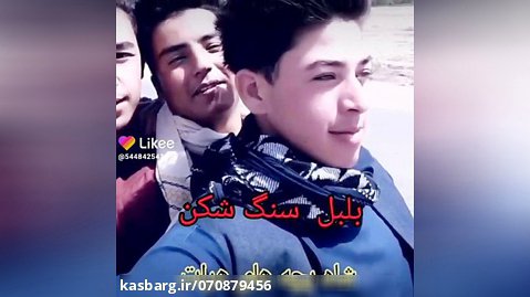بلبل سنگ شکن شاه بچه های هرات