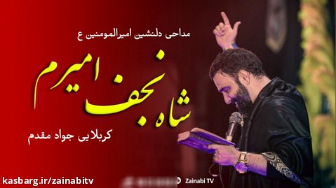 شاه نجف امیرم (شیعت سقیفه ای نیست) جواد مقدم | مداحی امام علی ع | Shah e Najaf