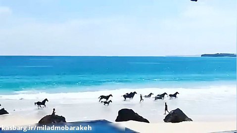 ویدیو کوتاه از سومبا جزیره ای در مجمع الجزایر مالایی اندونزی