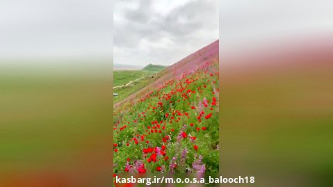 زیبا ترین جا /موسی بلوچ /بلوچستان /قشنگ /دختر /دخترانه