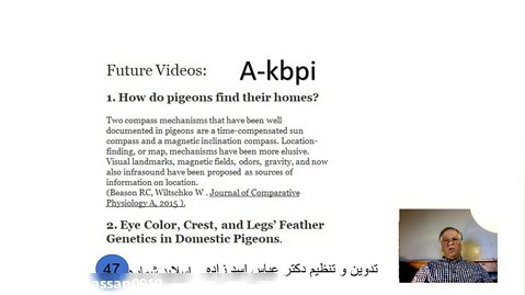 اسلاید شماره 47 ژنتیک رنگ در کبوتران اهلی تدوین و تنظیم دکتر عباس اسدزاده A-kbpi