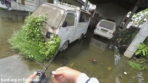 ماهیگیری در کف خیابان