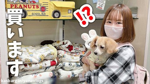 مینوری _ چالش خرید با انتخاب سگ __ ژاپنی