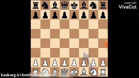 سم شطرنجی قسمت دوم