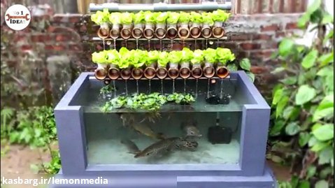 ساخت یک حوض ماهی همراه با پرورش سبزیجات