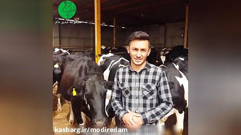 مصاحبه با پرورش دهندگان گاو شیری -  مشاوره در واتساپ 3211 373 0919