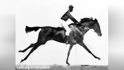 اسب در حال حرکت ادوارد مایبریج