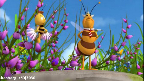 دانلود کارتون مایا زنبور عسل / مسابقه زنبور عسل
