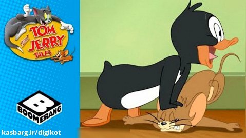 کارتون تام و جری - پنگوئن گرسنه در خانه - موش و گربه