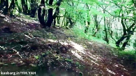 جنگل تسخیر شده توسط اجنه / منطقه ممنوعه مرزی آذربایجان و ایران