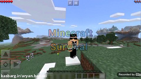 Minecraft Survival 