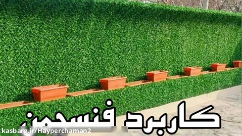 دیوار باغ همیشه سبز کن