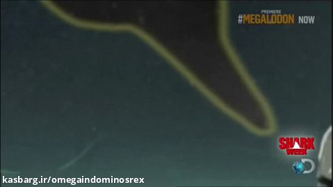 اثبات اینکه در اعماق اقیانوس کوسه ها زندگی میکنند(ممکنه مگالودون باشه!!!)