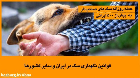 قوانین نگهداری سگ در ایران و سایر کشورها