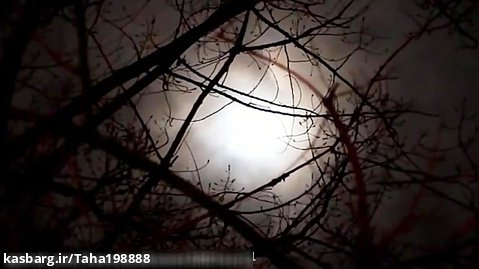 سعید والکور  کلبه عجیب در ماه