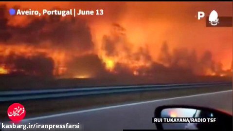 جنگل های غرق در آتش پرتغال در اثر گرمای هوا