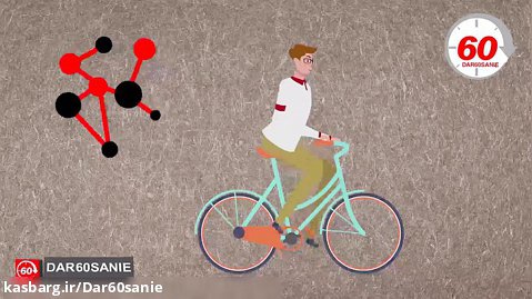 فواید دوچرخه سواری برای سلامتی جسم و روان