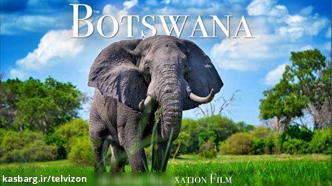 ویدیویی حیرت انگیز از حیات وحش بوتسوانا در آفریقا | (مناظر زیبا / قسمت 92)