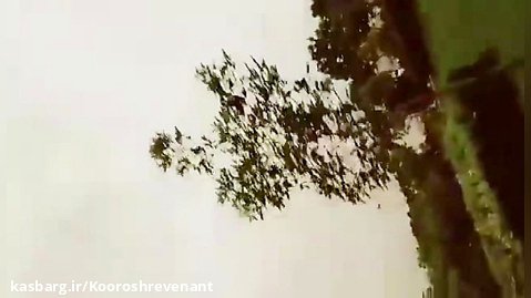 Sirvan khosravi - Tanha Mazar Video Art