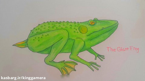 جاینت فراگ (The Giant Frog)