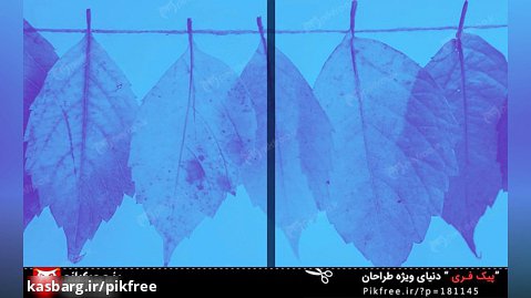 موشن گرافیک فارسی حرکت متن با طراحی مدرن