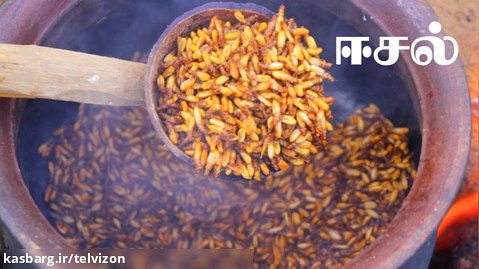 پخت خوراک حشرات برای اهالی روستا | آشپزی روستایی (قسمت 1)